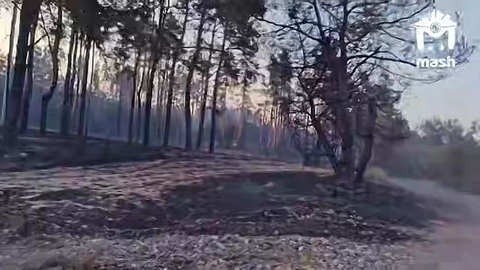 �������� ����� � ��������-��������� ������ ��������� ��������