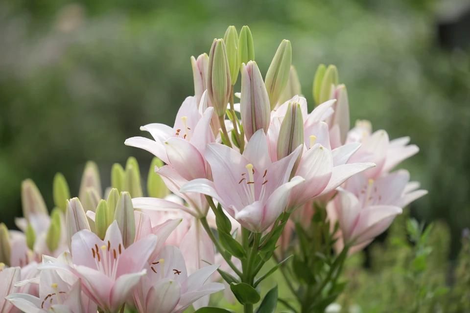 �� +34 �������� ������������ ��������� � ��� 22 �������