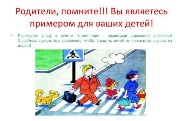 Инна Швенк: Безопасная дорога в школу: готовимся к новому учебному году