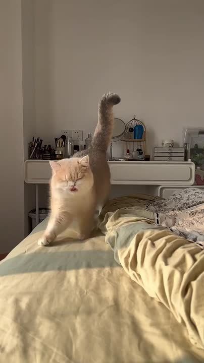 � ����� �� ������ ���� ������ �������, ������ ��, ��� ����� ��� �������