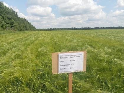 � ��� ��������� ��������� 25 ����� �� �������� �������