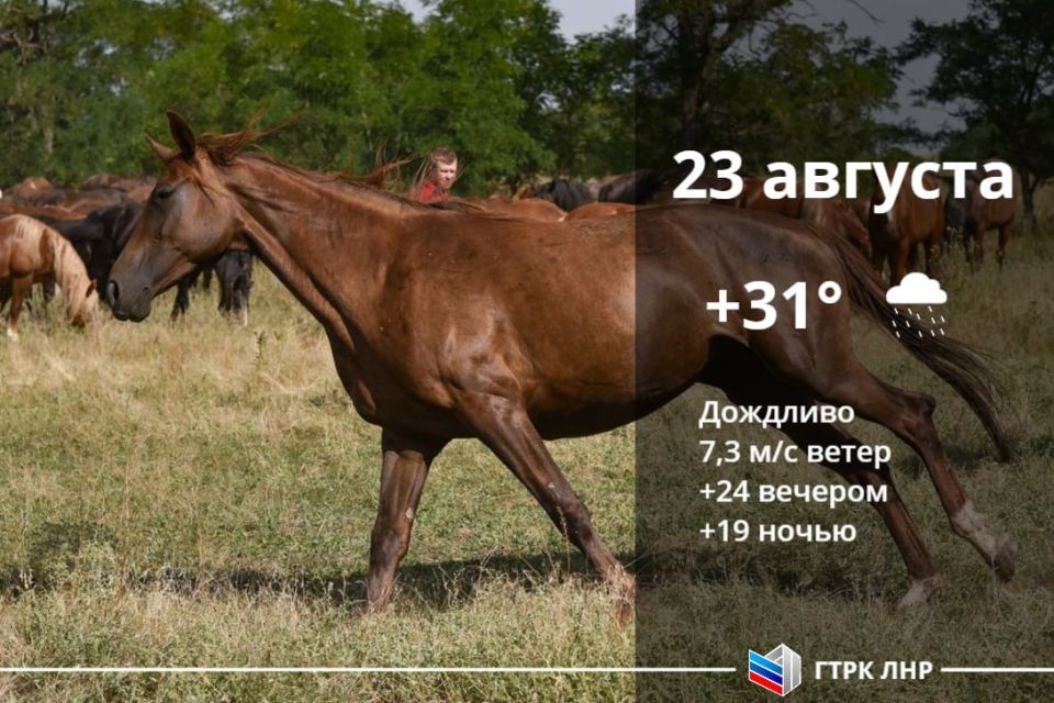 ������ ����, ��������� �������� ����������!