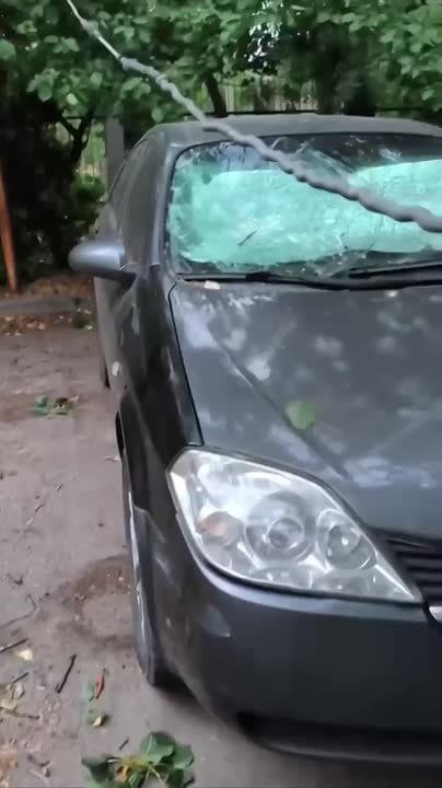 ����������� ���� � ��������