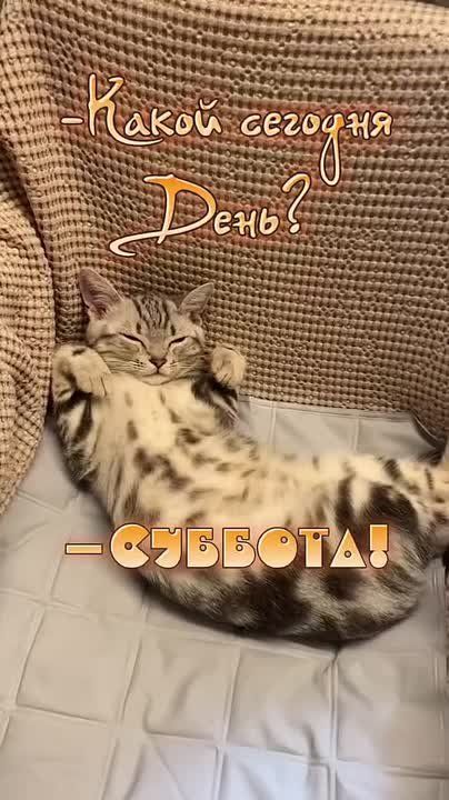 ������� ������ � ����� �������, � ��� ����� ���������� ��� ��� �� ������ � ������