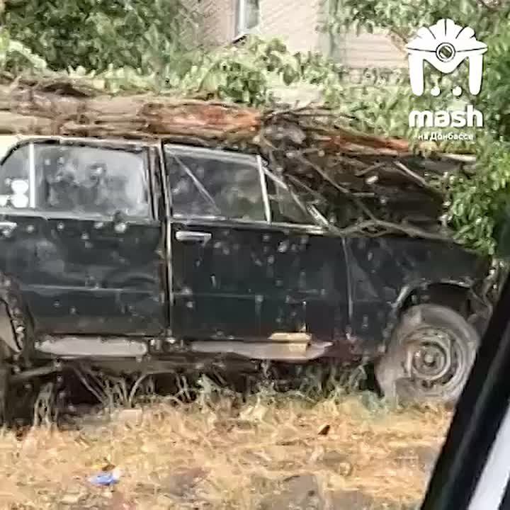 ����������� ���� � ��������