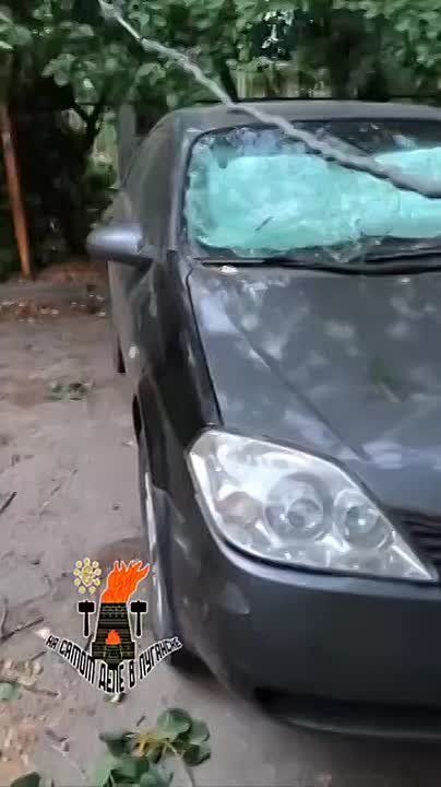 ����������� �������� � ��������