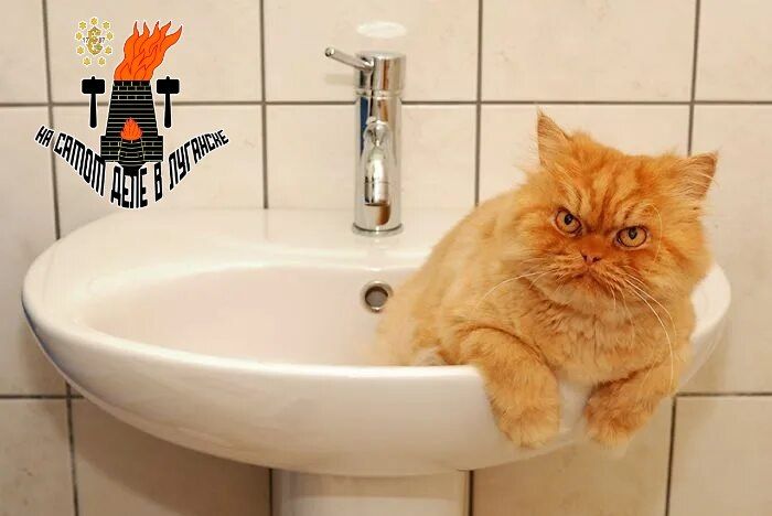 ��� ������� � �������� �� ����� ����?