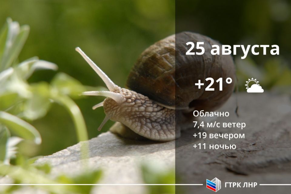 ������ ����, ��������� �������� ����������!