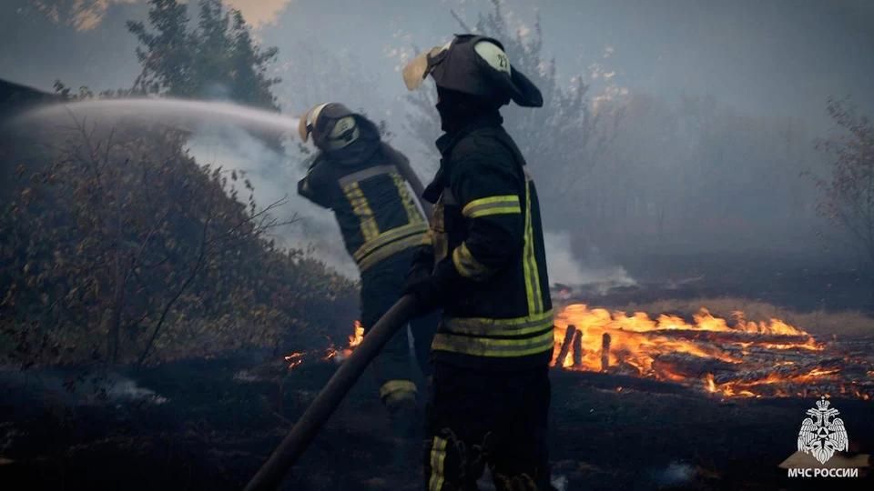 �� ����� � ��� �������� 12 �������