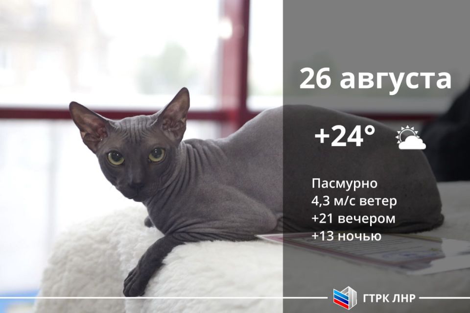 ������ ����, ��������� �������� ����������!