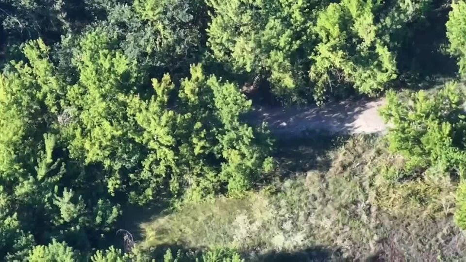 �� ���� ����������� ��������� ��� ���� ������� � ����