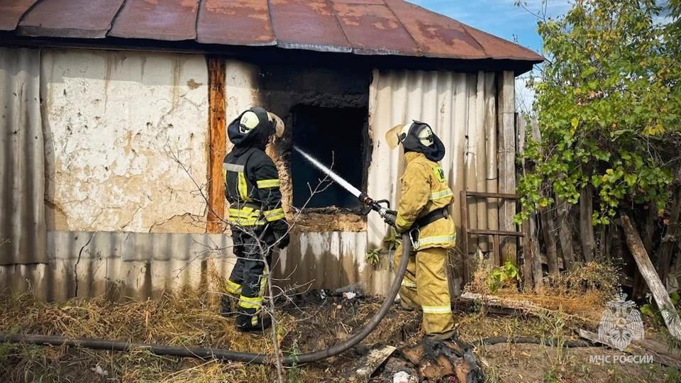 � ��������-��������� ������ ������ ���