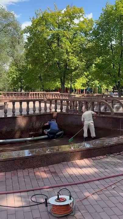 ����������� ������������ ���������� �������� ��������