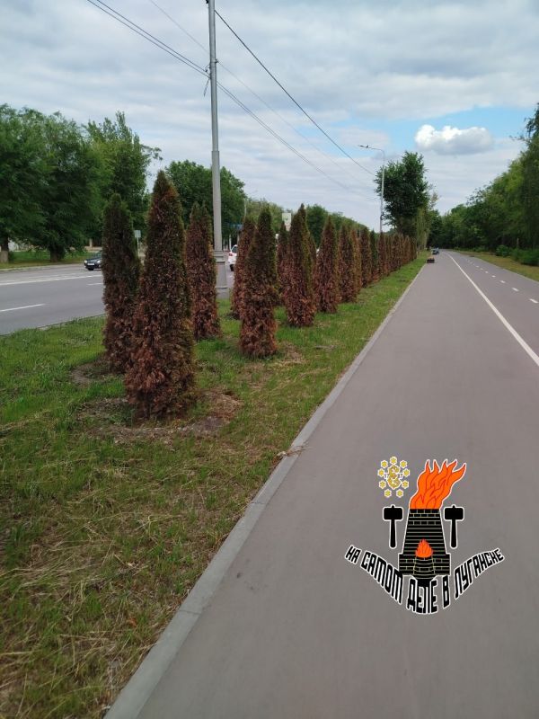 ���� �� ��������� ����� ����� �����