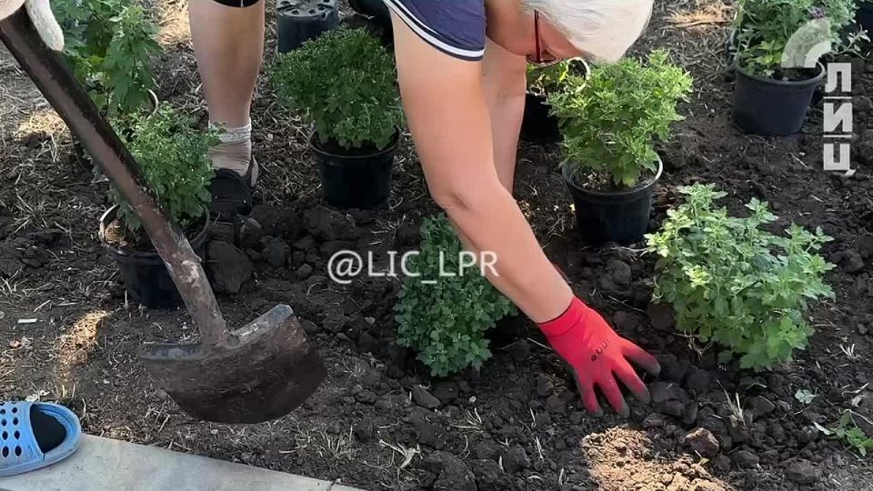 ����������� ����������� ������������ ����������������� ������� � ��������� ������ ����� ������ �������� �������