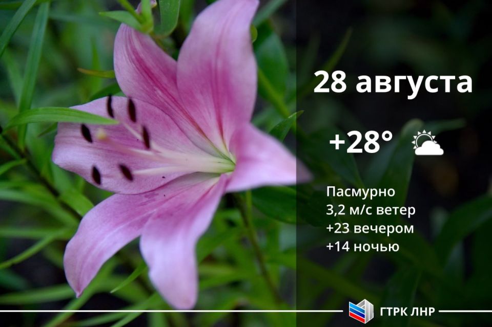 ������ ����, ��������� �������� ����������!