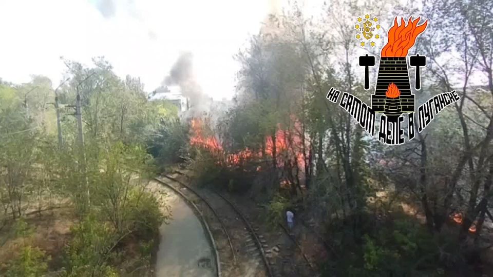 �� ����� ������ ��������� �����