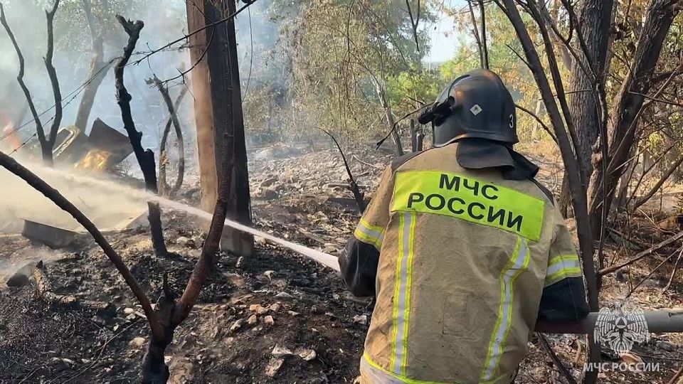 ��������� ��� ������ ����������� ��������� �� ����� ������ � ��������