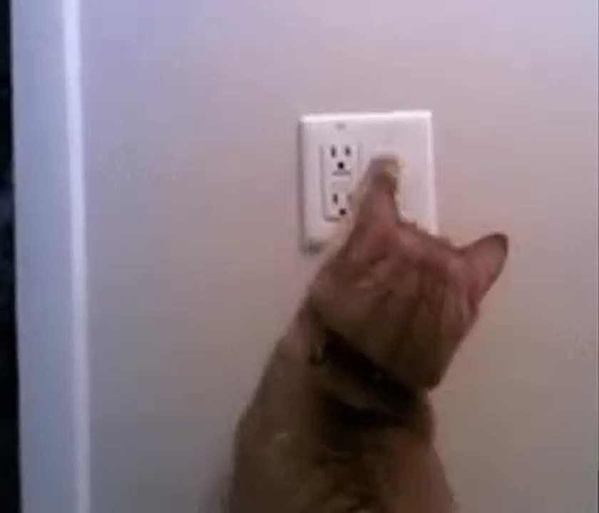 � �������� �� ��� ����� ������� ��������� ����