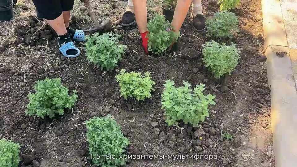 �������� ������������ ������ ������� ���������� � ���, ����� ����������� �� ��������������� ������ ���������� � 230-����� ��������