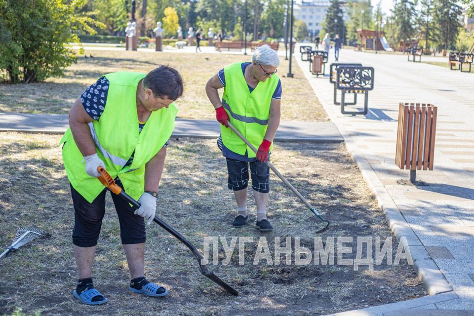 ��������� ����������� �������� �������� ������ �� ���������������