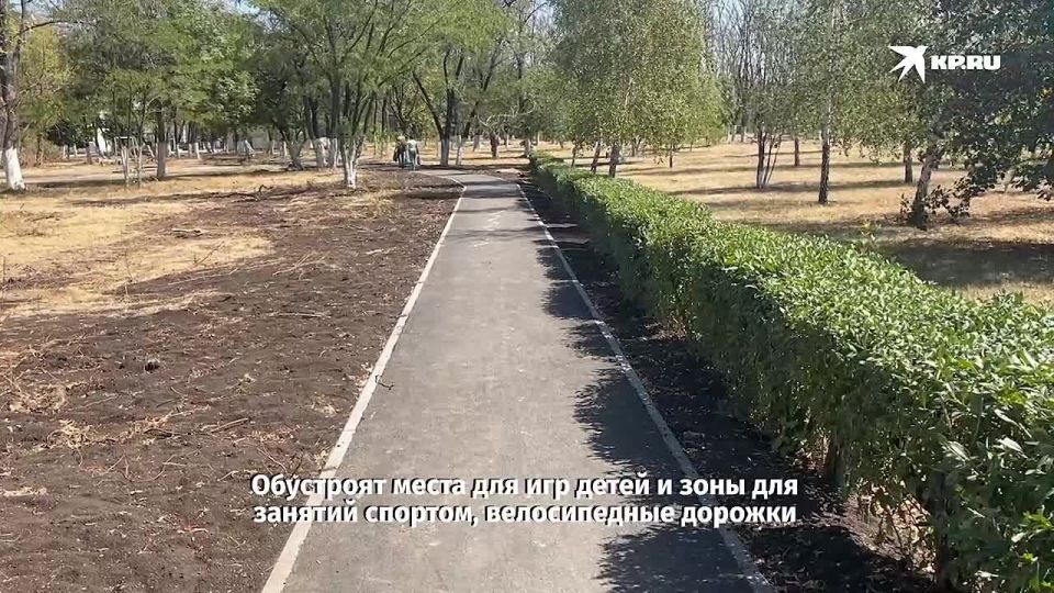 ����� ����� ������� �����: � ����������� �������� ������������� ���������� �����