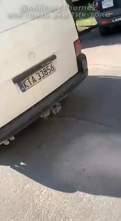 ���� �� �����, � �����-���������� ����������� �������������, ������, ��� �������� ������ ����������� ������������