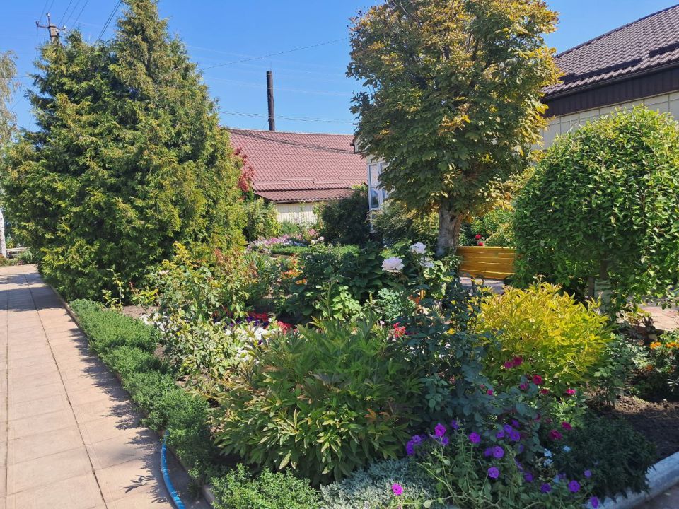 ���� ������: 28 ������� 2025 ���� ���������� �������� ��������������� �� ������ �������� � ��������� �������� ���������� ��������� ����� � ������������� �������������������� �������� � ������ ��������� ����������� �������...