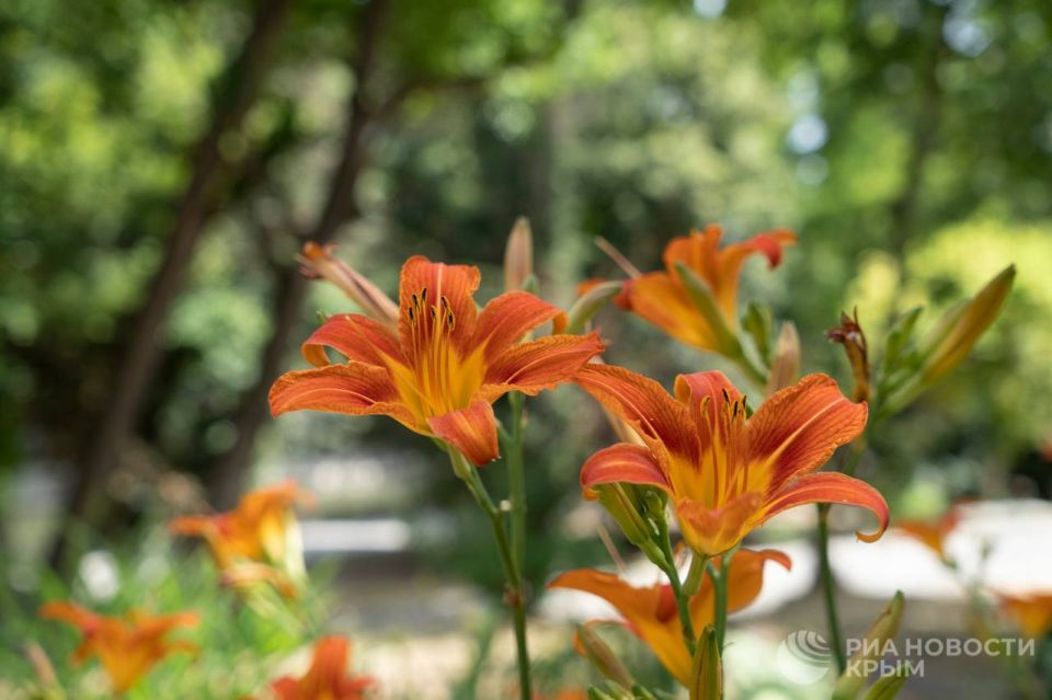 ������ �� ����� ����������� ������