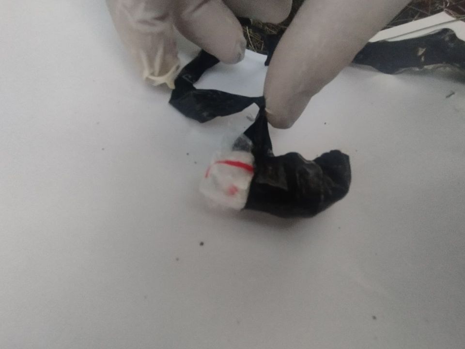 � ����������� ������ ��� ������� ������ ��������� ��������� �������