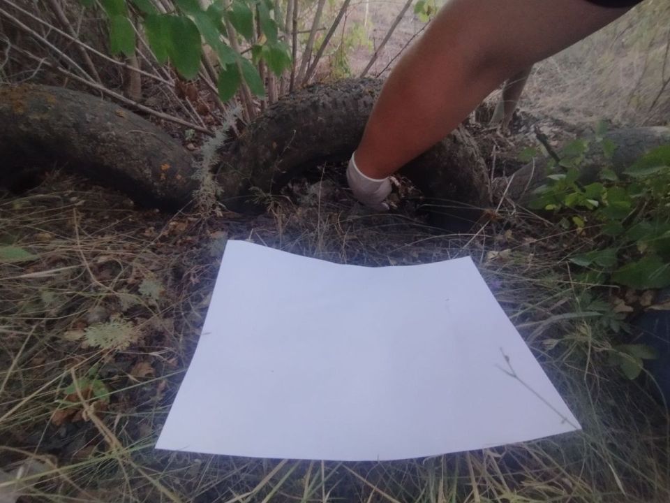 � �������� ��������� ������� � �����������