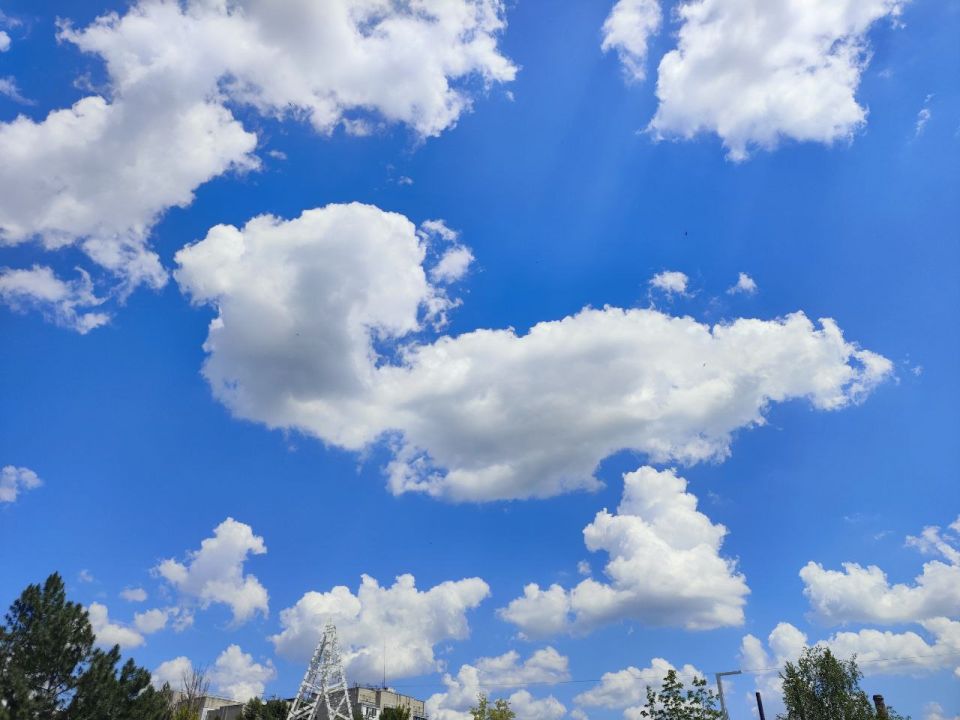 ������ ������ ������������ ��������� � �������� 30 �������