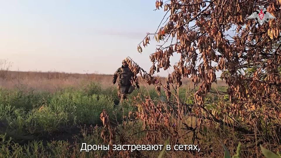 ���� ������ ����� �� ����� ������� ��� ��� �������