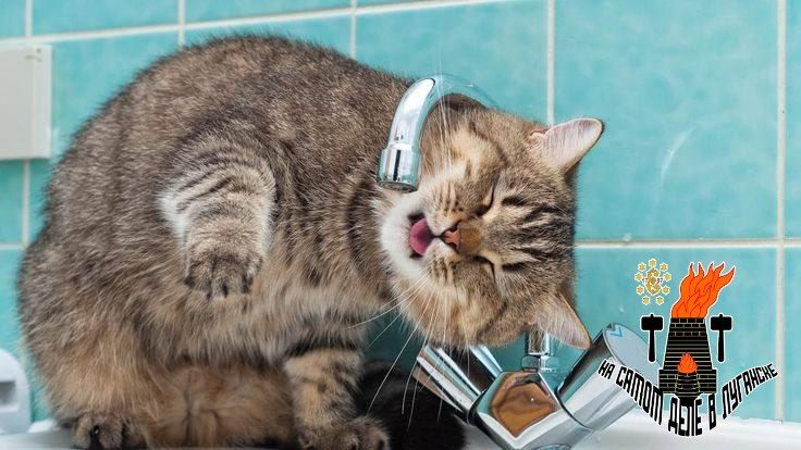 ����� �������� ������� ��� ����