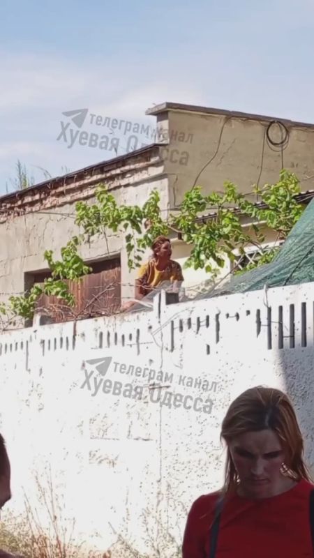 � � ��� ��� �������?. � ������ �������-����������� ��������� �� ����� ������ � ��������� ��������� �������� ��������� �������