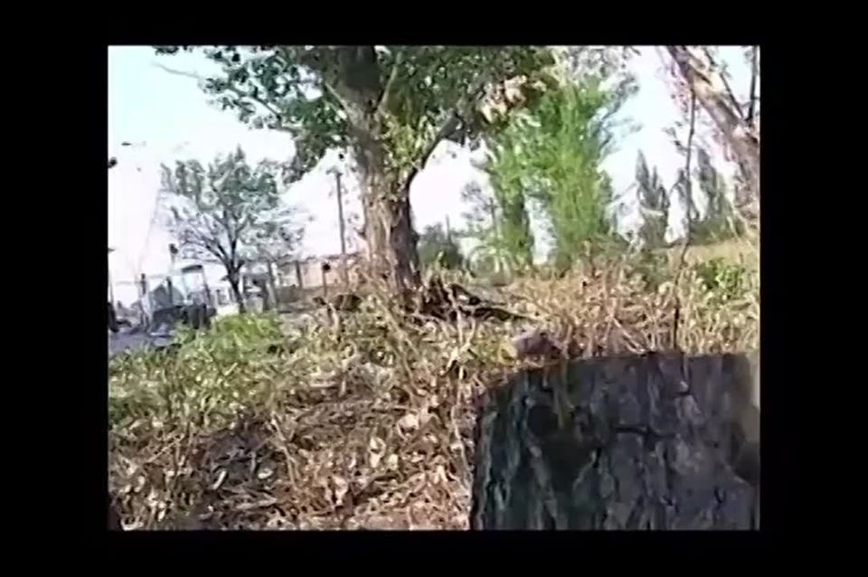 �������� ����� �� 31 ������� 2014 ����, �� ������� ������ ������ ��� ������� � ���������� ���� ����� 50-60 ������� ����� �������� ��������, ������� ��������� ����� 400 �������������� ���