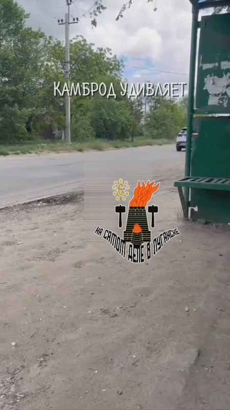 � �������� ���� ���������. ����������� ��� ���