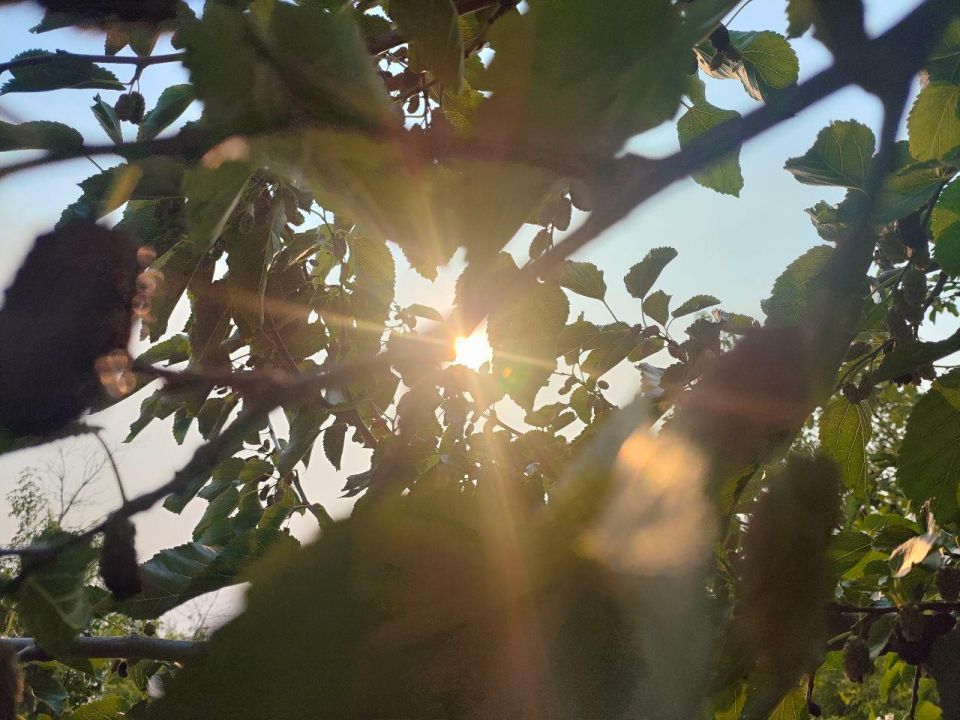 ������ � �������� �� 2 ��������: ����� � ����