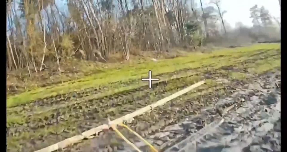 ����� � ����. �������������� ���� "���" ������ ����������� "�����" ������� ������� ������� ���������