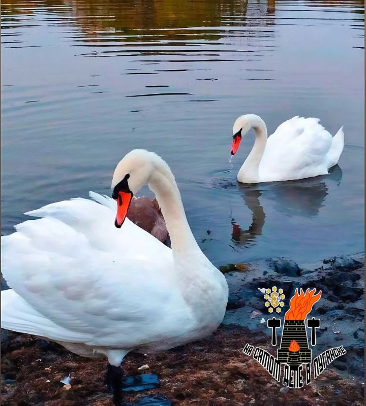 �� ������������ ������������� �������� ���������� �������