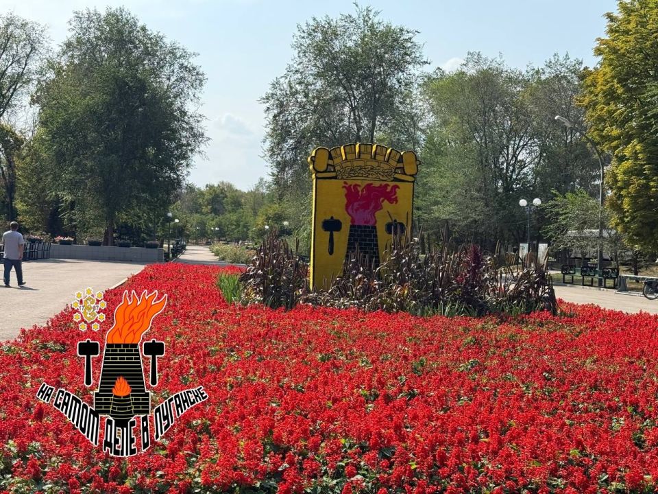 ���� �������� ������� ���� ��������