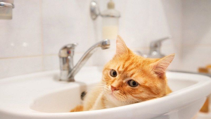 � �������� ������� ��������!