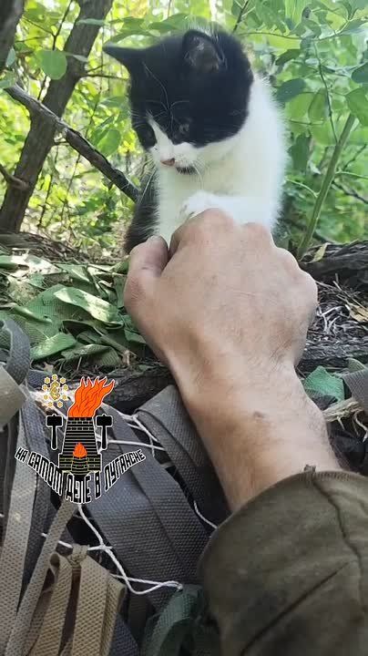 ��������� ������ ������ � ��������� � ��� �������� ������ �������� �������� ������