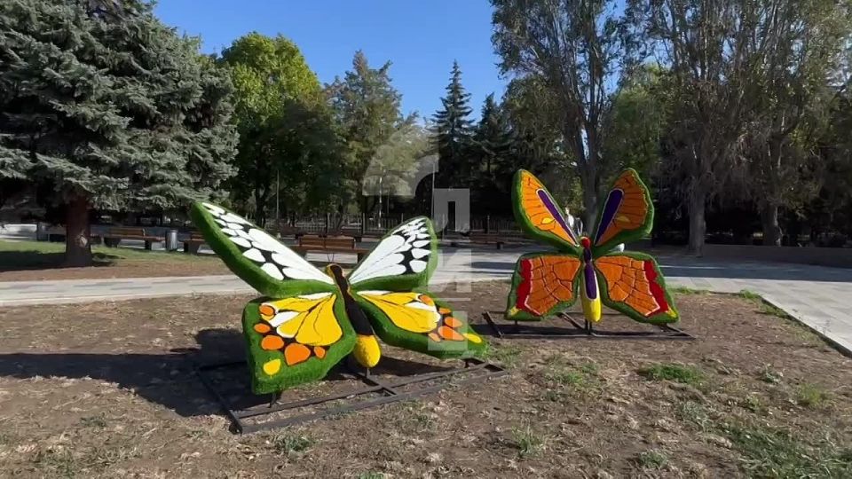 ��� ����� ������� ��������� � ����� ����� ����� ��������� � ��������