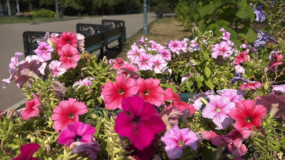 ������ ����������, ����� ������� � ��������� ����� ��������!