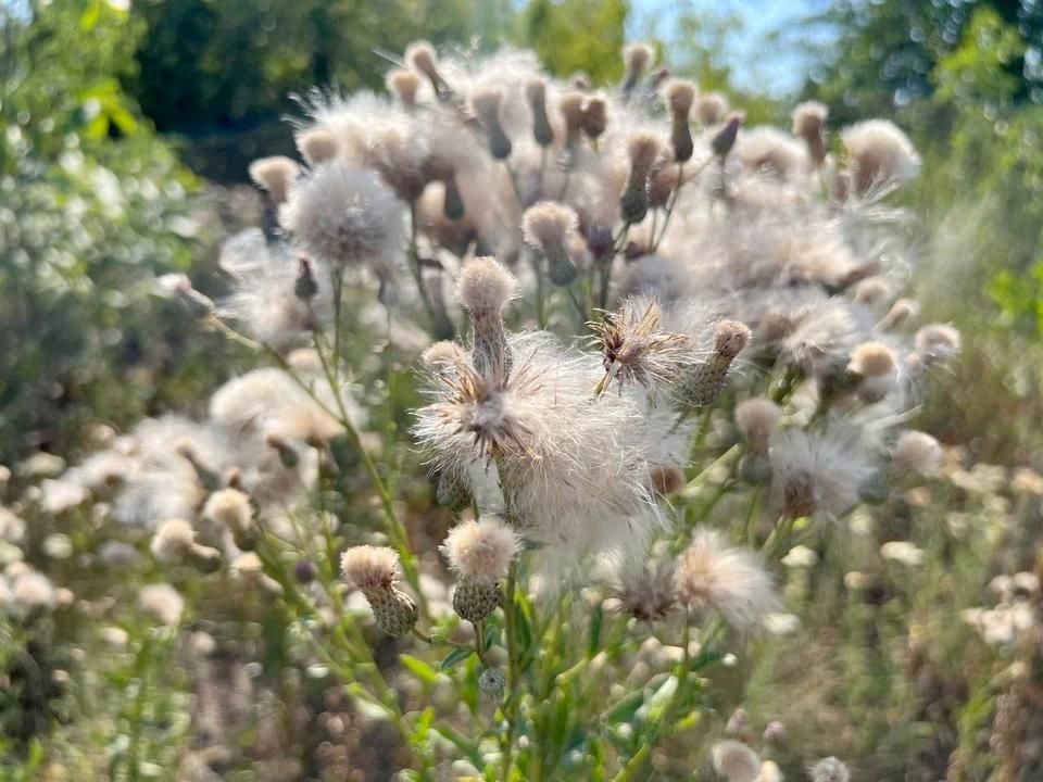 ������� � ��� ����� ��������