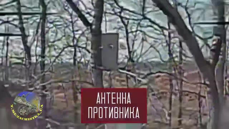 ���� ����� �� ����� ������!