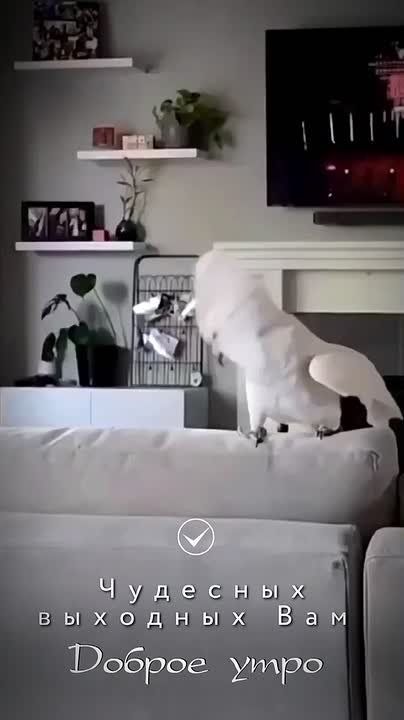 ����� ���� ���� ������ �������� �������� ��� ������ ����, �� ������� �� �������� ������ ���� �������� ���� ������