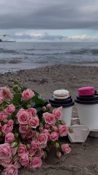 ������� ����������� ���� �� ��, ��� � ��� ���� � �� ���� ��� ��, ���� ��� �� �������