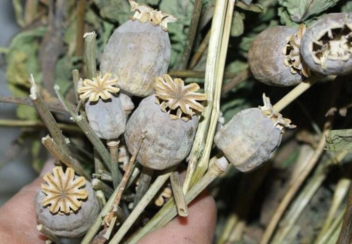 � �������� ����� �����������: ������ 7.5 �� ������������ ��������